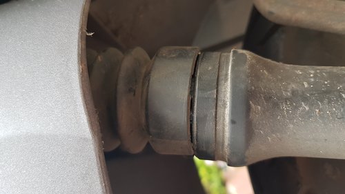 20180820_175608.jpg
