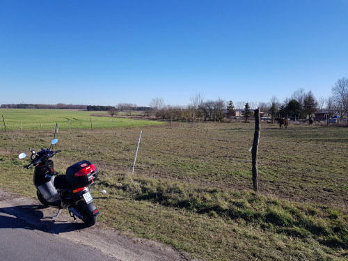 20190216_130025.jpg