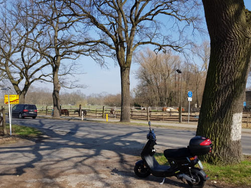20190323_121728.jpg