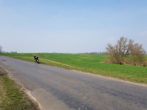 20190323_134637.jpg