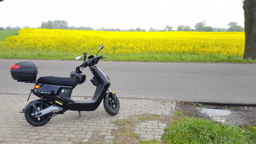 20190501_115251.jpg