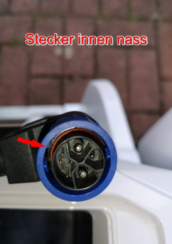 Stecker innen nass.jpg