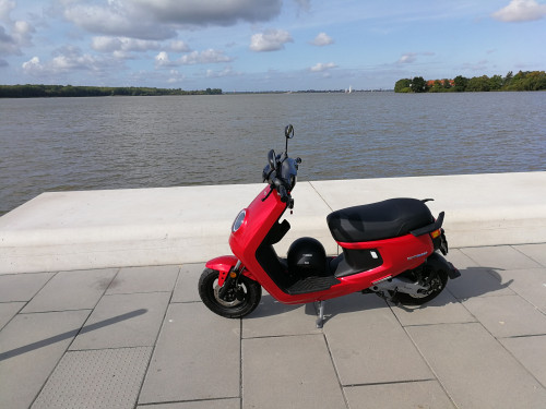 Niu-M+Sport.jpg