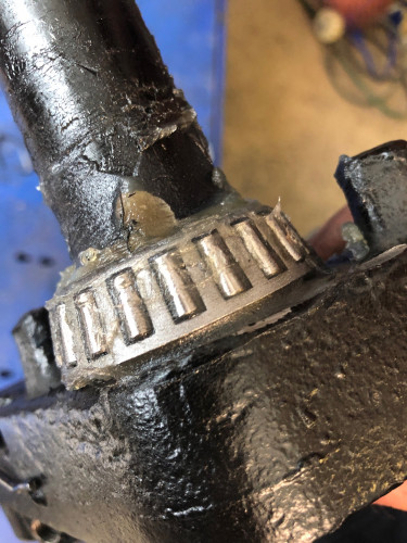 0BC39041-60AB-4045-A7DC-09FF82135E8E.jpeg