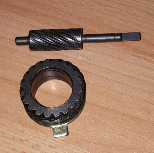 Schnecke2.JPG