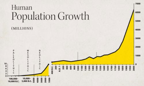 Weltbevölkerungswachstum 100.000 v.Chr. - 2000.png