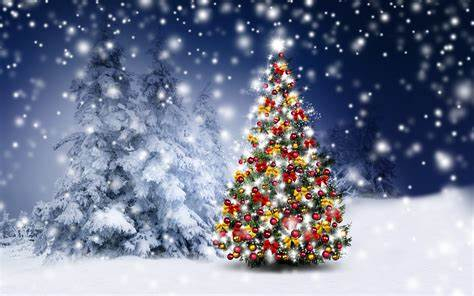 Weihnachten2021.jpg