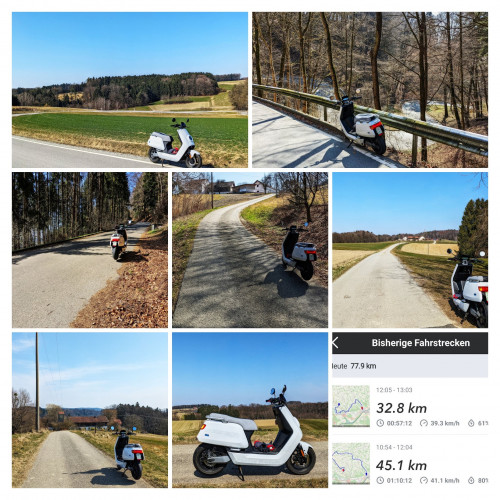 schildthurn-COLLAGE.jpg