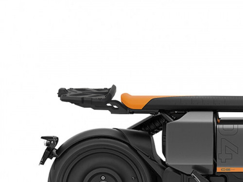 a_shad12093.jpg