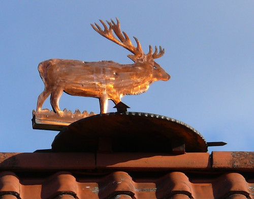 mit Buttersäure behandelt und mit Autolack gespritzt