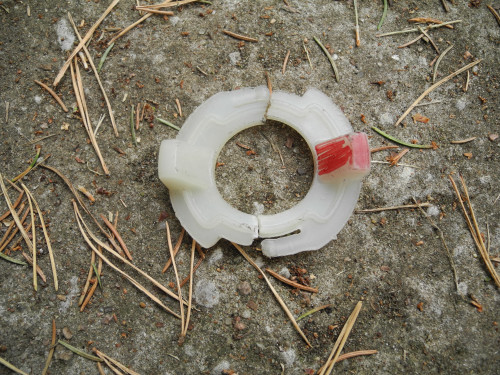 DSCN8955.JPG