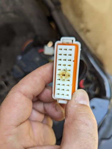2023 06 20 - NIU FOC Stecker unten.jpg