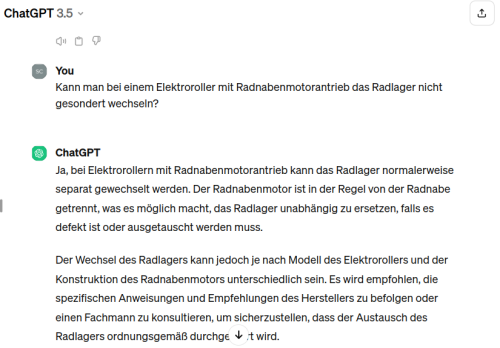 Radnabenmotor Radlagerwechsel (13-03-2024).png