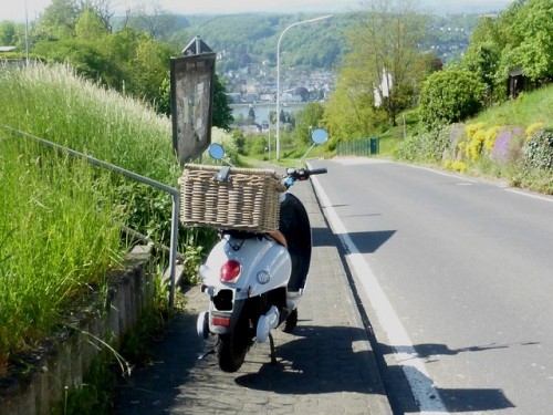 Blick aufs Rheintal.jpg