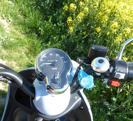 3000km