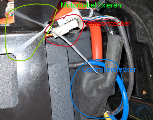 EVO Sensorstecker Motorkabel 2.jpg