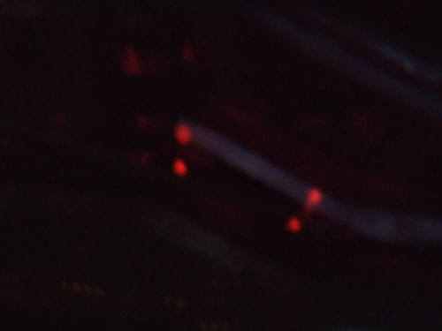 IMG20240527220832.jpg