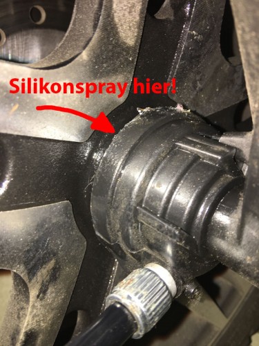 Tachoschnecke Unu.jpg