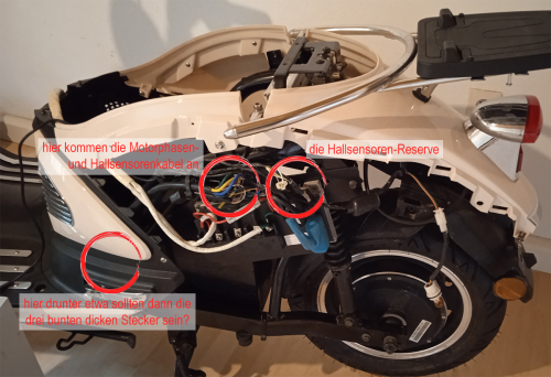 Neptun hinten ohne Flügel.png