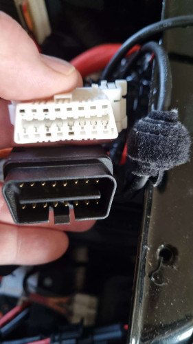 VCDS+Rollerstecker.jpg