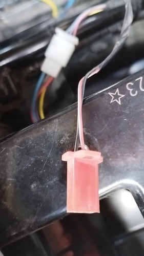 NIU-Stecker Bild-#1 (11-10-2024).jpg