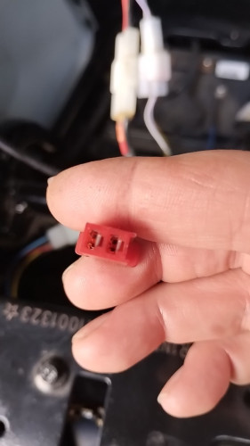 NIU-Stecker Bild-#2 (11-10-2024).jpg