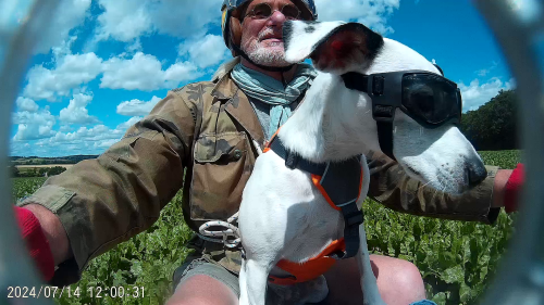 Ausfahrt in die Rüben.jpg.png