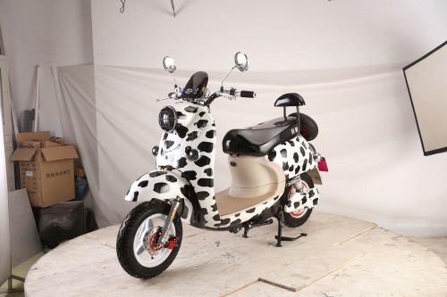 ebike_bob_1 (22).JPG