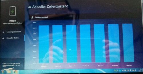 BMS-Zellenzustand.jpg