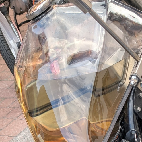 PXL_20250620_174104559.jpg