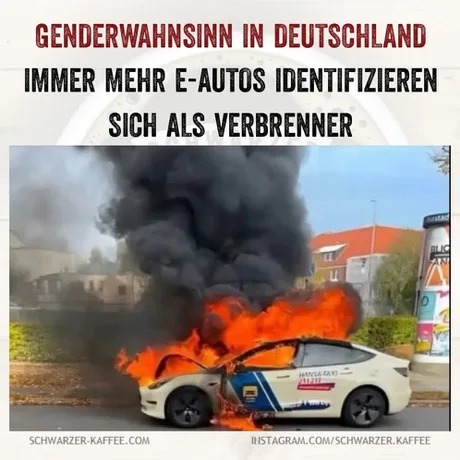 WhatsApp Bild 2025-08-06 um 08.52.53_5f90f8e6.jpg