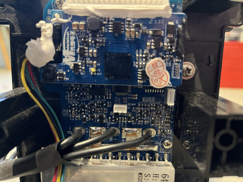 Groß (IMG_2560).jpeg