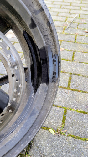 shared image (5).jpg