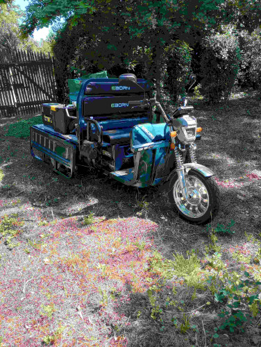 IMG_20260704_105317107_HDR.jpg